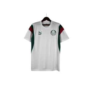 Sociedade Esportiva Palmeiras 2023/24 Trikot