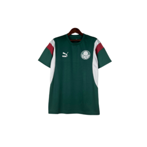 Sociedade Esportiva Palmeiras 2023/24 Trikot